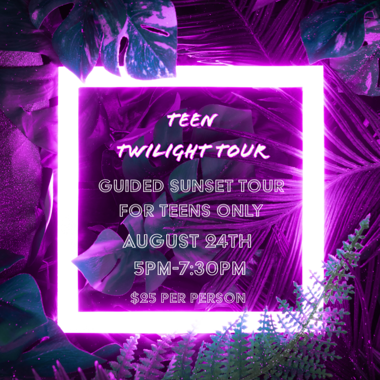 DATE: Saturday, August 24
TIME: 5:00 - 7:30pm
LOCATION: Tigers for Tomorrow
TICKETS: $25 per person; ticket link here: Teen Twilight Tour (tigersfortomorrow.org)

Calling all teens! The Teen Twilight Tour is a special event just for you. Come with your friends and embark on a guided sunset tour. Explore, learn about the animals, and have a fantastic time. Ages 13 to 19.

Parents, if you are dropping off, you can relax in the events building or the Dragonfly Cafe during the tour! Sorry, no adults allowed. 

Don't miss out on this exceptionally wild adventure!